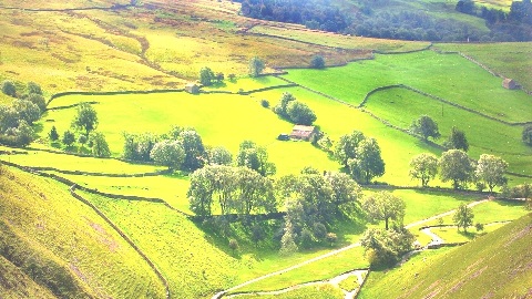 An English Summer scene